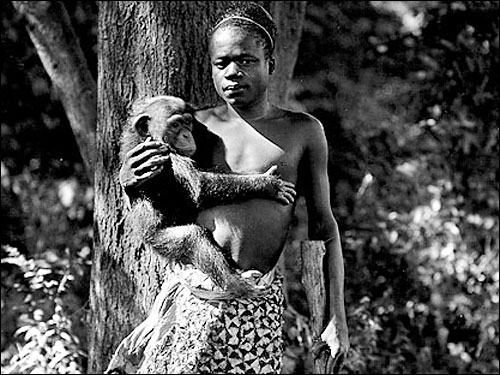 ブロンクス動物園で展示されたオタ・ベンガの写真